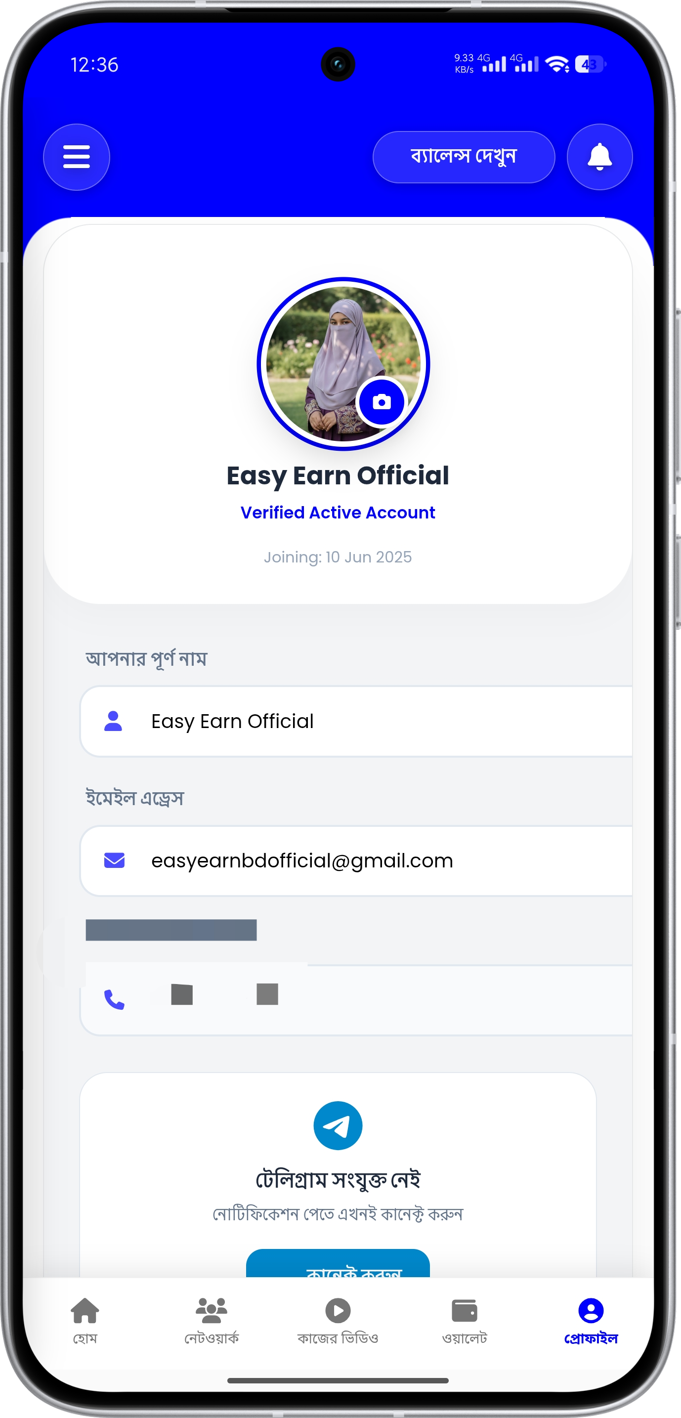 Easy Earn App Screenshot 4 - Online Income Application Design