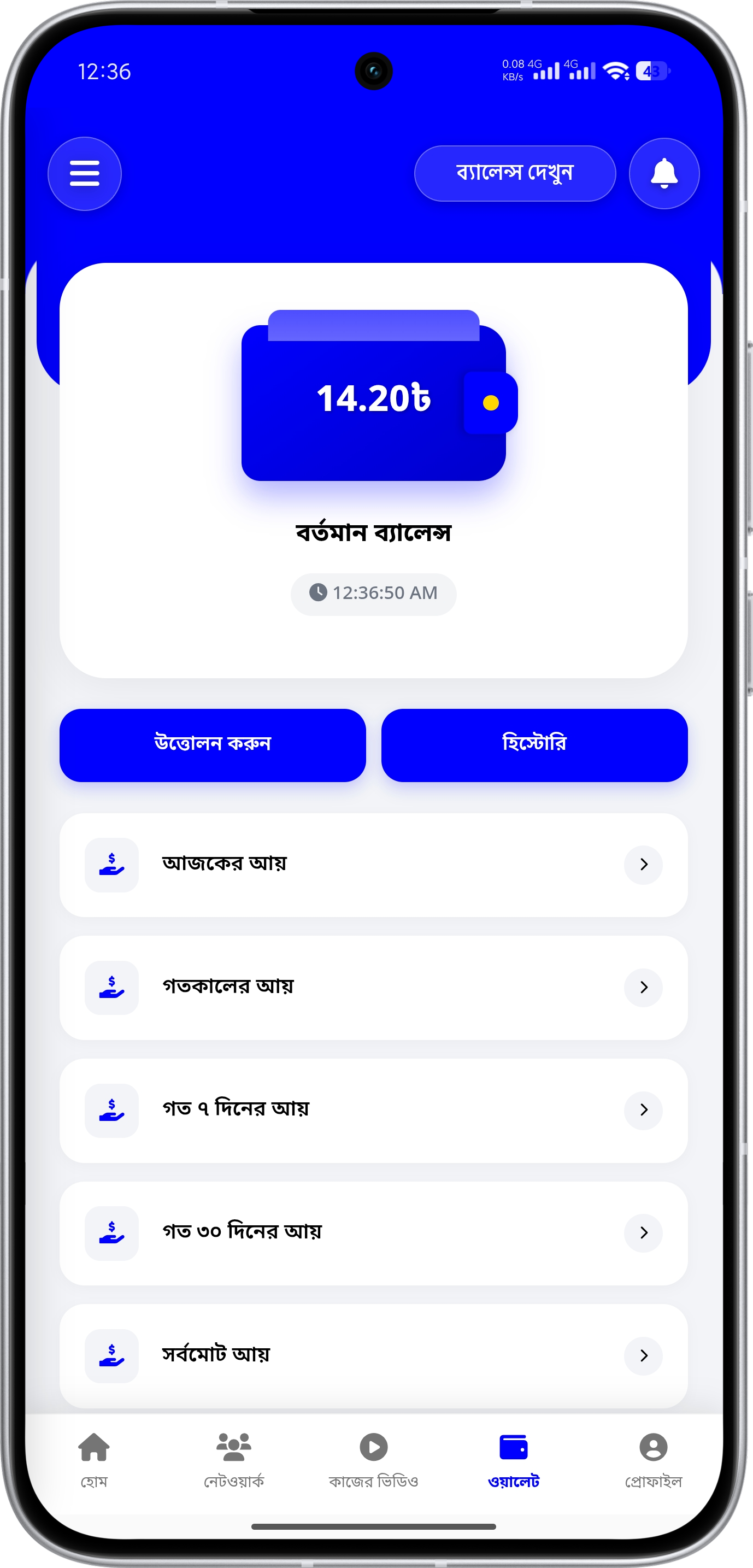 Easy Earn App Screenshot 5 - Online Income Application Design